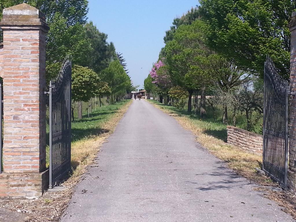 Agriturismo L'Angelina Βίλα Αλφονσίνε Εξωτερικό φωτογραφία