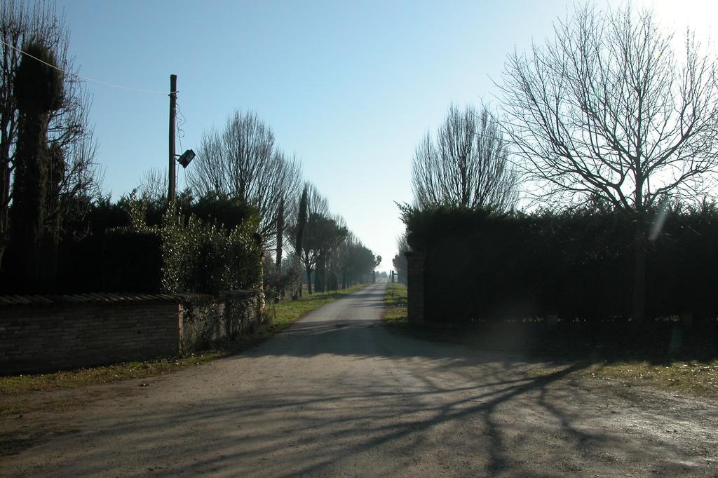 Agriturismo L'Angelina Βίλα Αλφονσίνε Εξωτερικό φωτογραφία